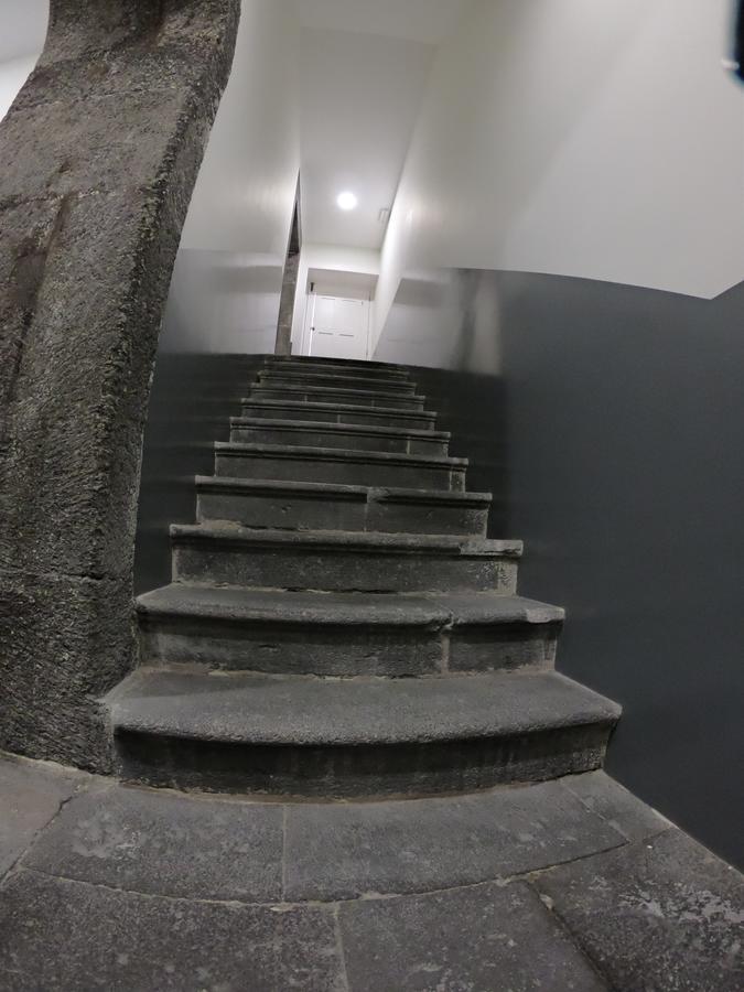 Apartamentos Da Queimada Funchal  Eksteriør billede